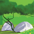 Camping